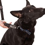 Dog-e Walk Dog Trainer